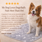 DogyBad — Say Goodbye to Disposable Pee Pads for Good