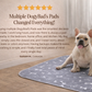 DogyBad — Say Goodbye to Disposable Pee Pads for Good