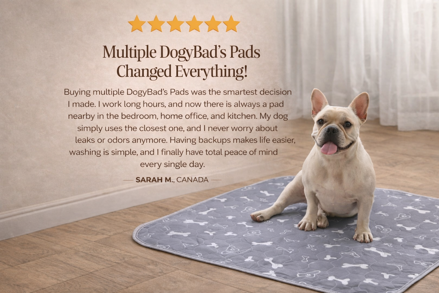 DogyBad — Say Goodbye to Disposable Pee Pads for Good